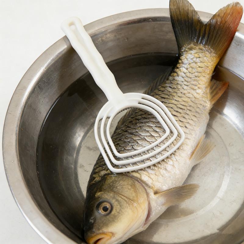 手動プラスチック製肉スクレーパー魚鱗除去器ホワイトボーンスク - Meal Prep Seafood のレビューと価格